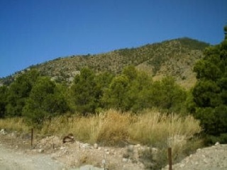 Otros en venta en Lorca de 10  m²
