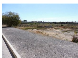 Suelo urbanizable en C/ El Ancla, Sector AL-3, Elche (Alicante) 5