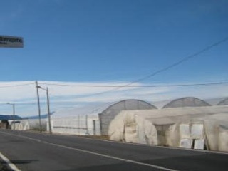 Pisos banco Sueca