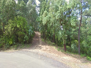 06986-0001 3