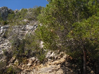 Otros en venta en Alcalà De Xivert de 1494  m²