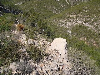 08249-0001 3