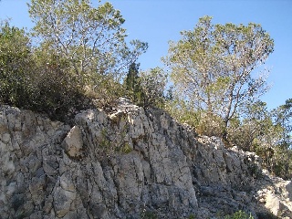 08253-0001 2