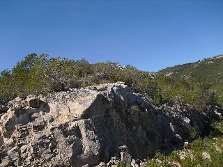 08255-0001 5