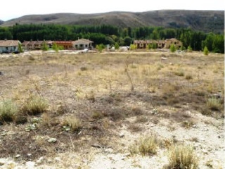 03313-0001 2
