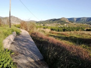 Pisos banco Canals