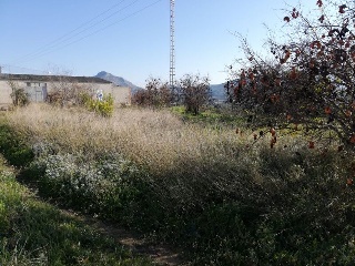 02024-0001 2