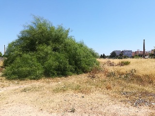 Otros en venta en Aldaia de 1200  m²