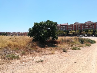 02265-0001 5