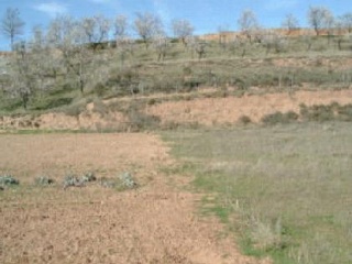 05301-0001 2