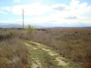 05305-0001 2