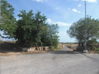 06172-0001 4