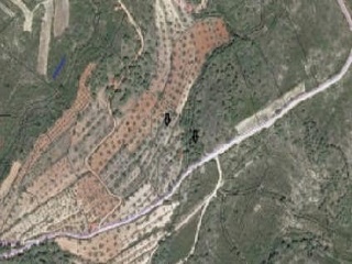06315-0001 4