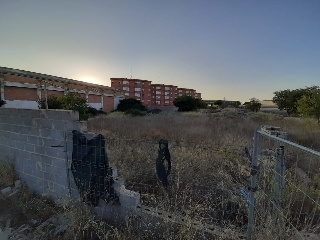 07019-0001 5