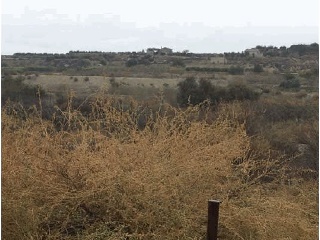 07996-0001 2