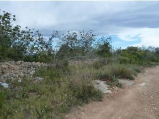 Otros en venta en Altafulla de 1407  m²