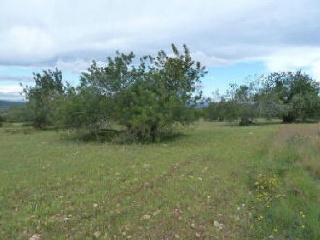 01363-0001 2