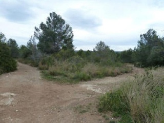 01363-0001 4