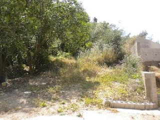 01377-0001 2