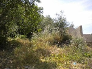01377-0001 3