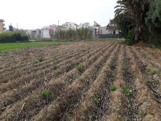Pisos banco Murcia