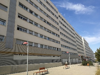 La Caza 2
