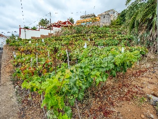 Otros en venta en Santa Úrsula de 363  m²