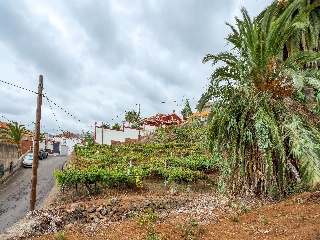 Solar Urbano en Santa Úrsula 4