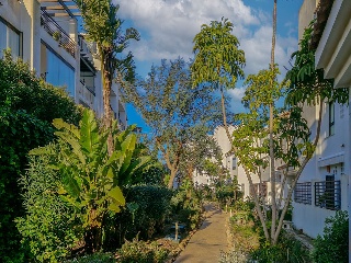 Alcaidesa Suites Golf Gardens 21