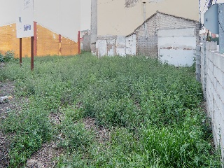 Solar en San José de la Vega 33