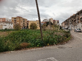 L'ESTACIO 12
