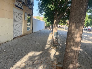 SAN ANTONIO 8