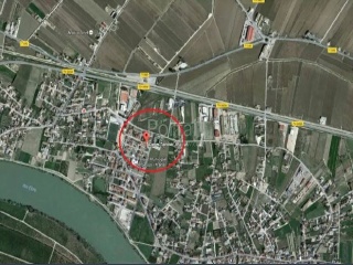 ESTATUT 15