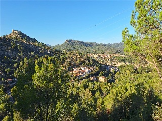 CORRAL DE LA FARGA 18