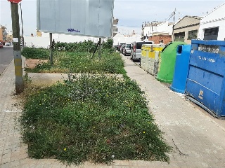 EL PONTO 15
