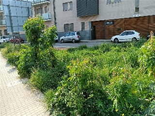 EL PONTO 31