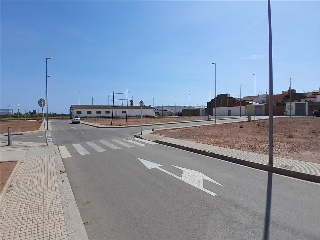 PERE EL CERIMONIOS 11