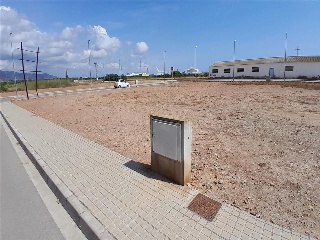 PERE EL CERIMONIOS 12