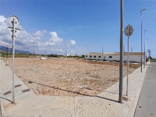 PERE EL CERIMONIOS 13