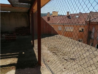 OLIVA 13