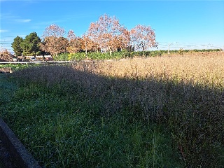 7. Parcela 13