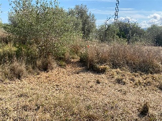MAESTRAT EL 14
