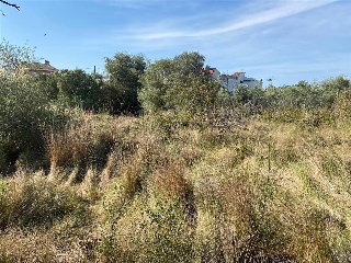 MAESTRAT EL 17