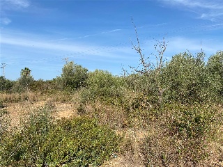 MAESTRAT EL 22
