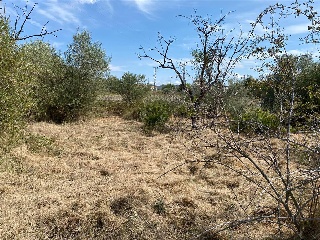 MAESTRAT EL 23