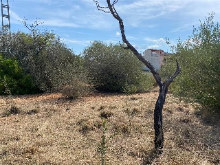 MAESTRAT EL 25