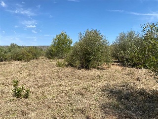 MAESTRAT EL 27