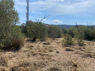 MAESTRAT EL 28