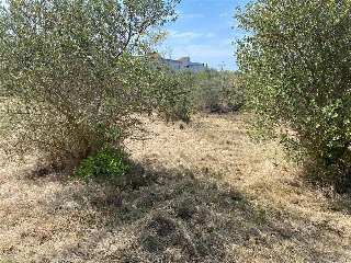 MAESTRAT EL 29