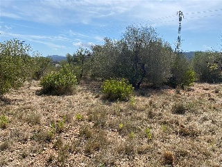 MAESTRAT EL 32